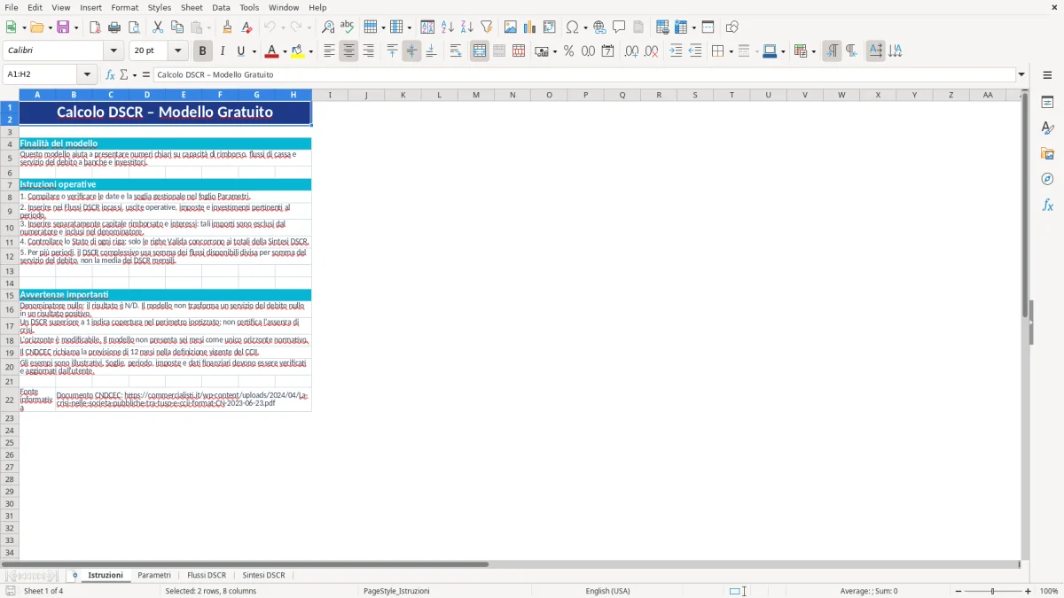 Anteprima del modello Excel calcolo dscr excel — foglio Istruzioni (immagine 1)