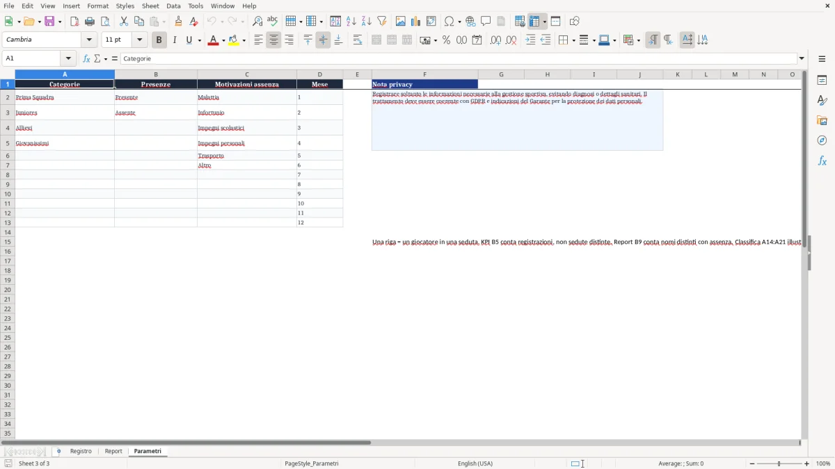 Anteprima del modello Excel presenze allenamenti calcio excel — foglio Parametri (immagine 3)